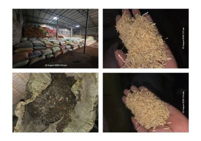 Water Affected Stock of Super Paddy & Maharashtra Paddy